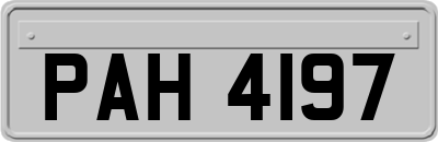 PAH4197