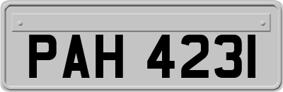 PAH4231