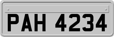 PAH4234