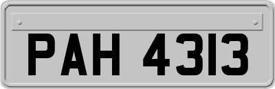 PAH4313