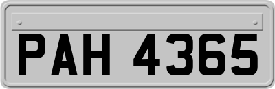 PAH4365
