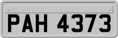 PAH4373