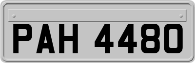 PAH4480