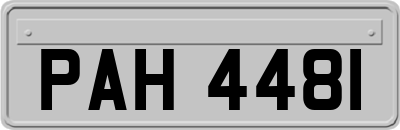 PAH4481