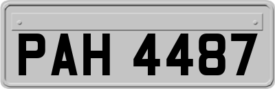 PAH4487