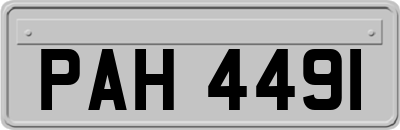 PAH4491