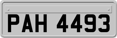 PAH4493
