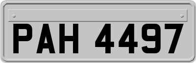 PAH4497