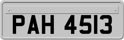 PAH4513