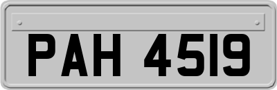 PAH4519