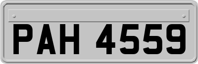 PAH4559
