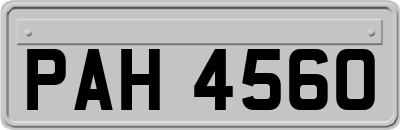 PAH4560