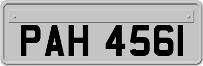 PAH4561