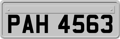 PAH4563