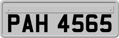 PAH4565