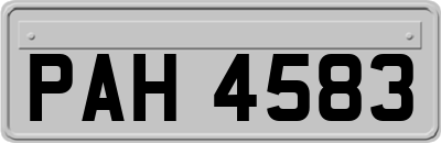 PAH4583