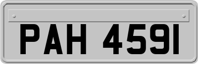 PAH4591