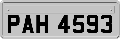 PAH4593