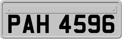 PAH4596
