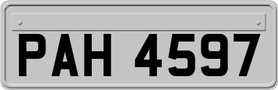 PAH4597