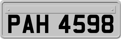 PAH4598