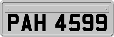 PAH4599