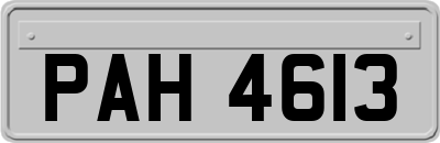 PAH4613