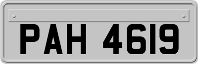 PAH4619