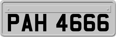 PAH4666