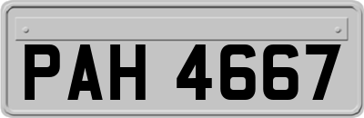 PAH4667