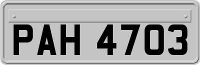 PAH4703