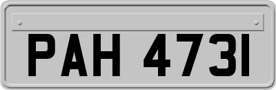 PAH4731