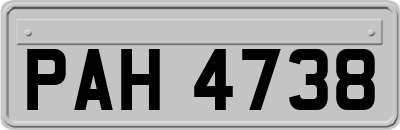PAH4738
