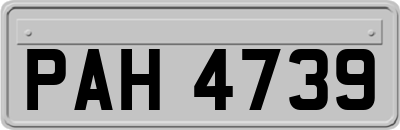 PAH4739