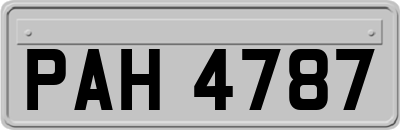 PAH4787