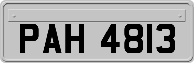 PAH4813