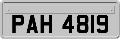 PAH4819