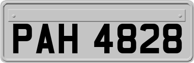PAH4828