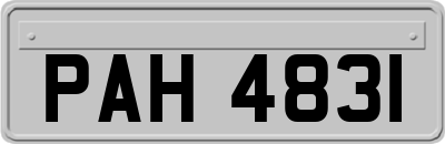 PAH4831
