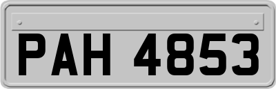 PAH4853