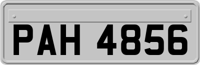 PAH4856