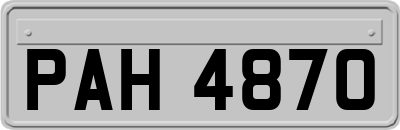 PAH4870
