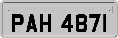 PAH4871