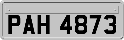 PAH4873