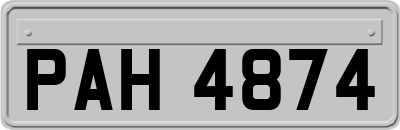 PAH4874