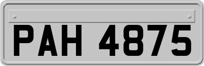PAH4875