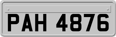 PAH4876