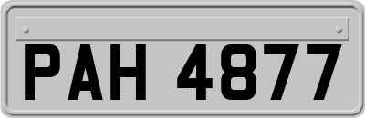 PAH4877