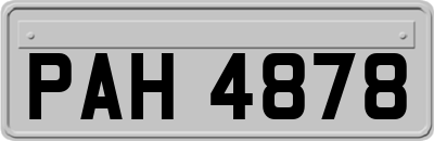 PAH4878