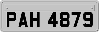 PAH4879